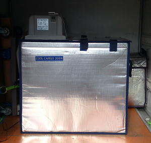 �N�[���J�[�S