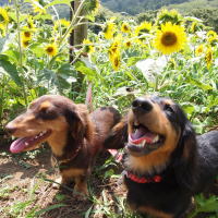 �����������������C���[�W